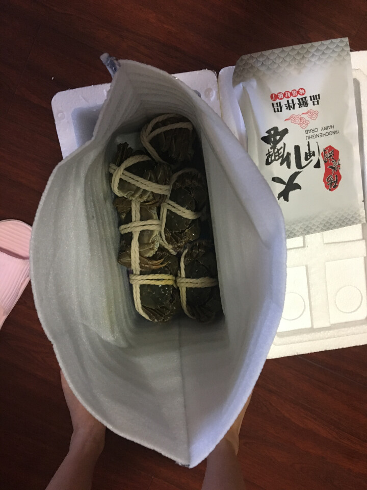 姑苏渔港 六月黄阳澄湖大闸蟹现货 鲜活螃蟹 1.6,第2张