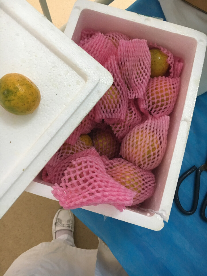 【洪江馆】青皮蜜桔果园直销新鲜薄皮柑橘约2.5kg 湖南特产怎么样，好用吗，口碑，心得，评价，试用报告,第2张