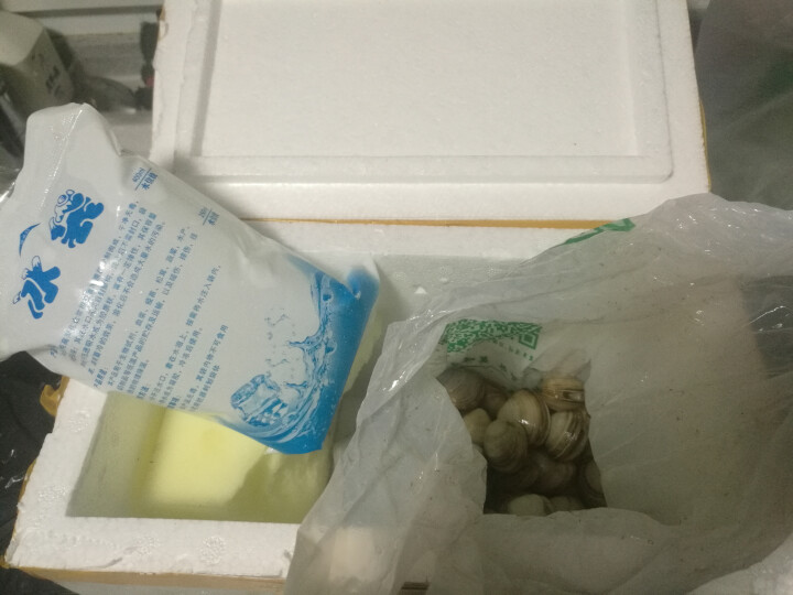 霍小鲜 连云港鲜活白蛤蜊蚬子 500g 20,第3张