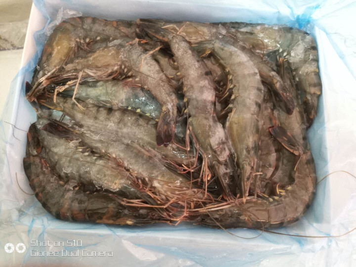 壹家壹站 活冻马来西亚黑虎虾 400g 15,第3张