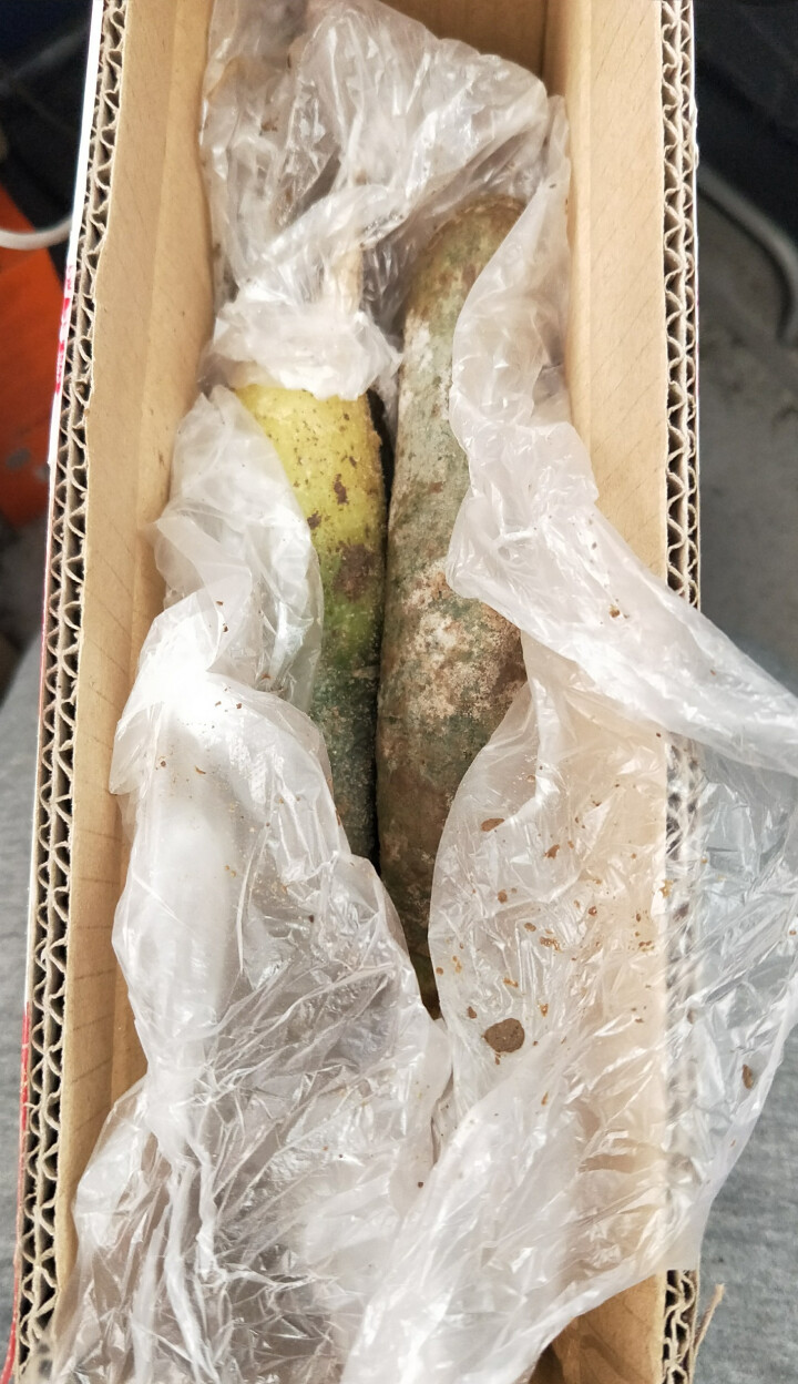 【谯城馆】潍县青萝卜2.5kg 潍坊水果萝卜新鲜蔬菜 山东特产 产地直发（4,第2张