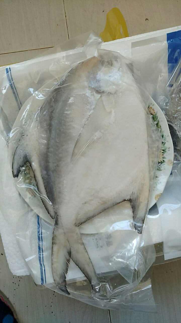 海外直供 深海野生大白鲳鱼 650g 2条 袋装冷冻 银鲳 平鱼怎么样，好用吗，口碑，心得，评价，试用报告,第2张