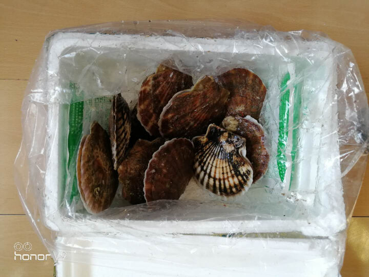 海洋岛海鲜生鲜火锅食材海鲜水产扇贝粉丝扇贝肉蒜蓉粉丝扇贝扇贝6头/斤900g怎么样，好用吗，口碑，心得，评价，试用报告,第3张