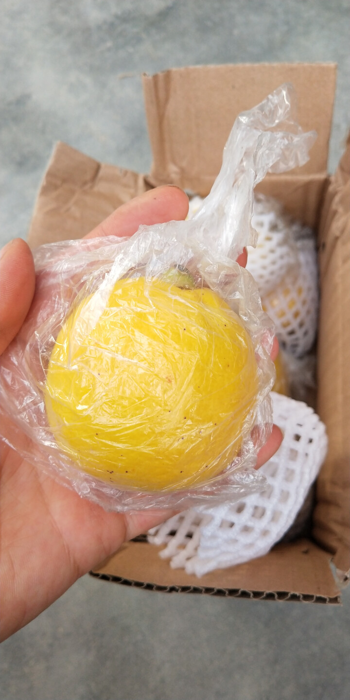 鲜菓篮 四川水果安岳柠檬 500g 一级果怎么样，好用吗，口碑，心得，评价，试用报告,第4张