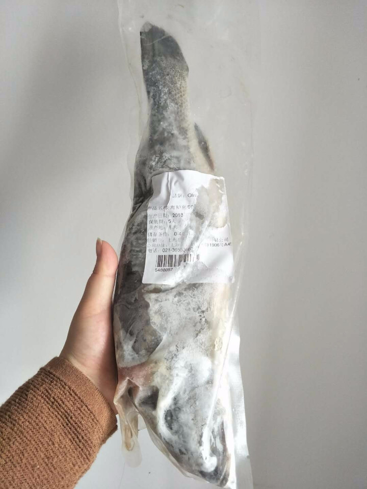 冰鲜 Gfresh 东海海鲈鱼 600g 1条 海鲜水产怎么样，好用吗，口碑，心得，评价，试用报告,第4张