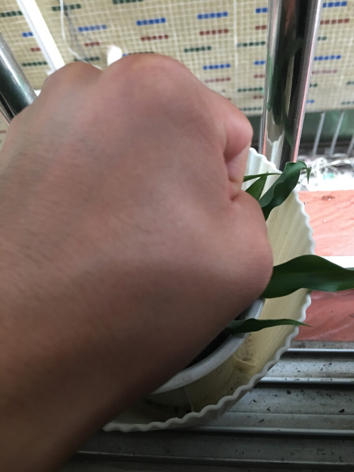 芬逸（FENYI） 八杯水套装深海奇缘水光美肌 8杯水补水保湿爽肤水乳液女护肤品化妆 八杯水五件套（洗面奶+爽肤水+乳液+眼霜+水光霜）怎么样，好用吗，口碑，心,第4张