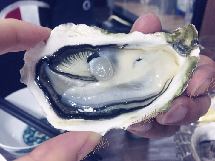 【活鲜】海鲜颂 鲜活刺身生蚝海蛎 梅岭牡蛎 刺身生蚝2.5kg (约25,第10张