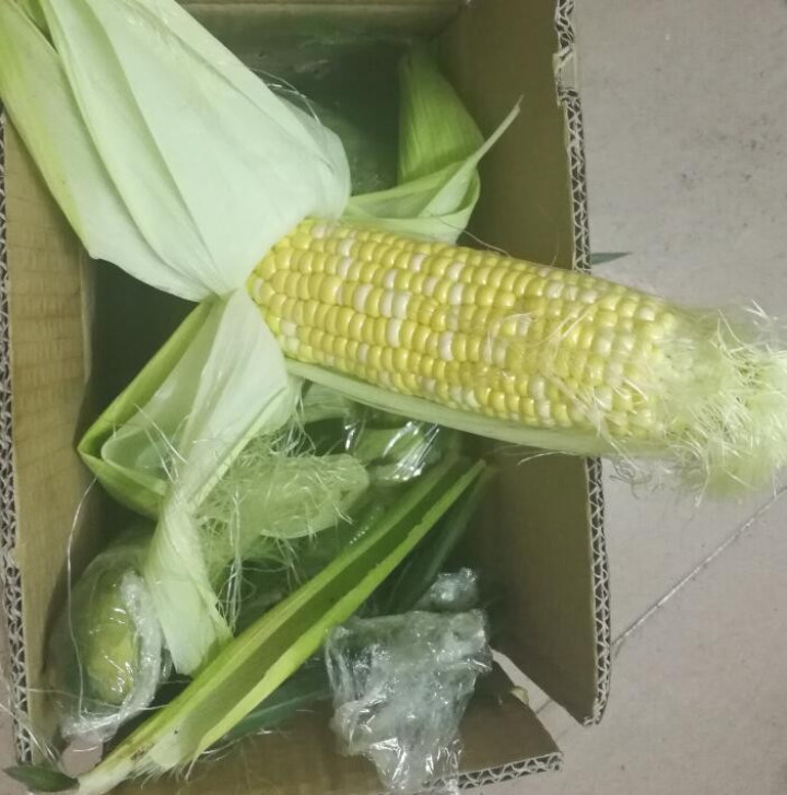 岂鲜 云南水果玉米 甜玉米精选 约2kg 火锅涮菜 新鲜水果蔬菜怎么样，好用吗，口碑，心得，评价，试用报告,第4张