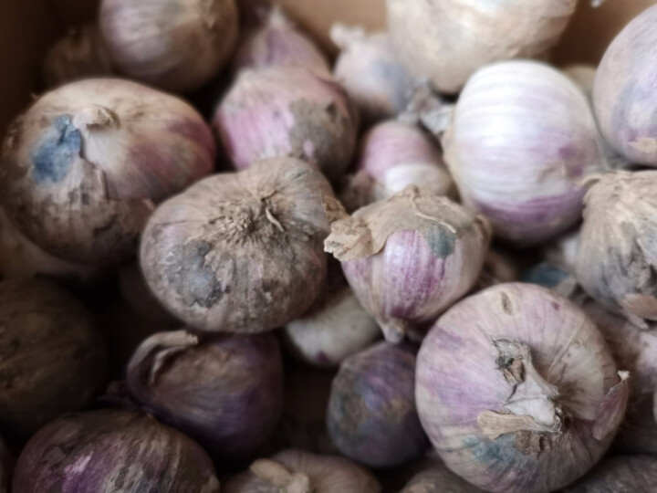 【泸沽湖馆】玉溪易门紫皮大蒜  独头大蒜 新鲜蔬菜 约1kg怎么样，好用吗，口碑，心得，评价，试用报告,第3张