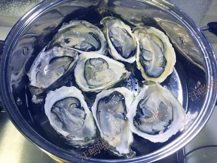 【活鲜】海鲜颂 鲜活刺身生蚝海蛎 梅岭牡蛎 刺身生蚝2.5kg (约25,第6张