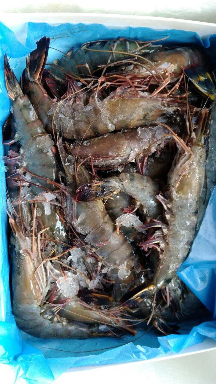 海洋岛海鲜生鲜火锅食材海鲜水产虾仁大虾虾滑甜虾黑虎虾鲜虾虎虾青虾鲜活海虾虾800g怎么样，好用吗，口碑，心得，评价，试用报告,第4张