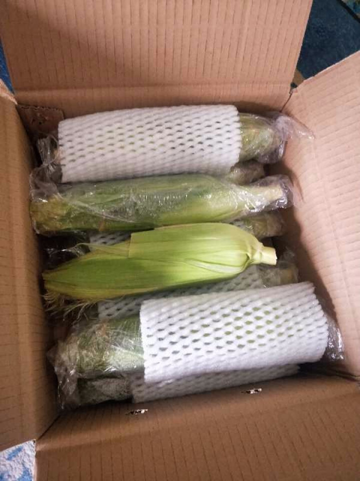 果然阳光 攀枝花水果玉米（发顺丰） 2.5kg  约8根怎么样，好用吗，口碑，心得，评价，试用报告,第2张