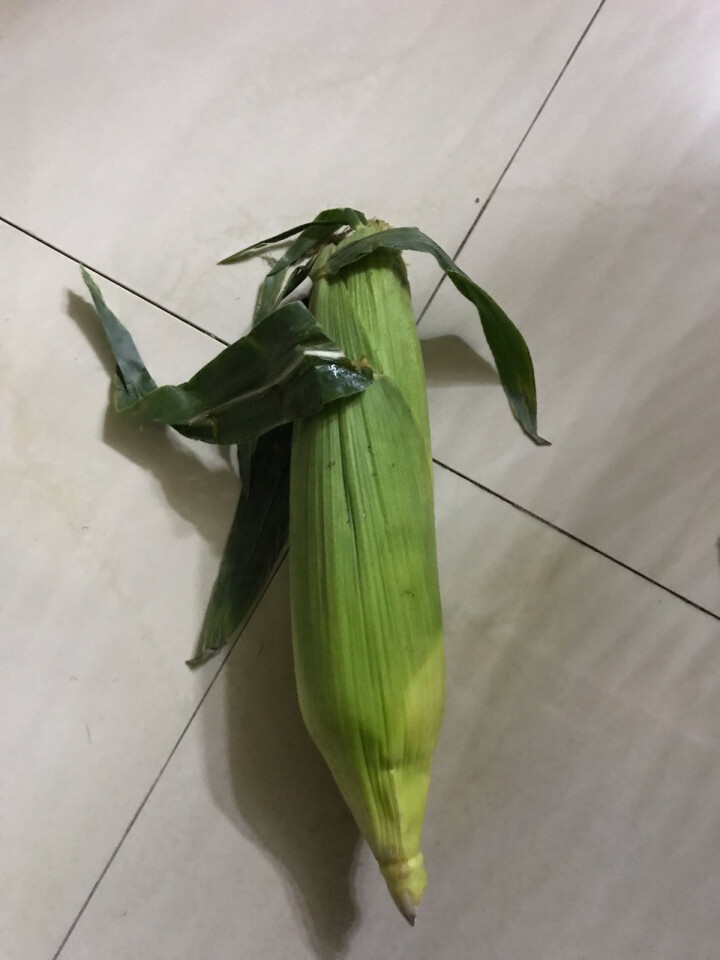 岂鲜 云南水果玉米 甜玉米精选 约2kg 火锅涮菜 新鲜水果蔬菜怎么样，好用吗，口碑，心得，评价，试用报告,第3张