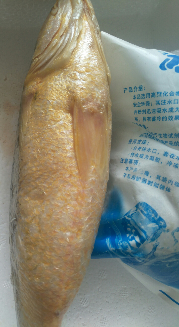 皇港世家 福建闽东冰鲜大黄鱼 500g 1条 海鲜水产怎么样，好用吗，口碑，心得，评价，试用报告,第3张