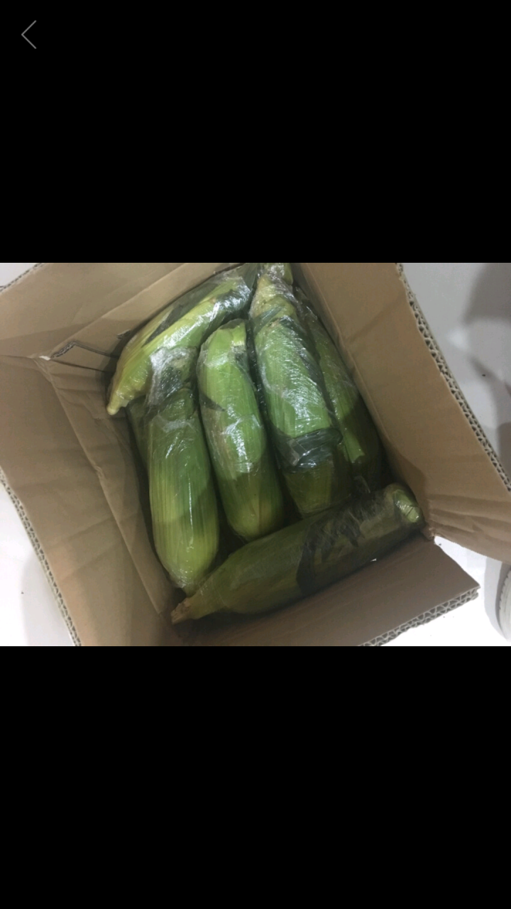 岂鲜 云南水果玉米 甜玉米精选 约2kg 火锅涮菜 新鲜水果蔬菜怎么样，好用吗，口碑，心得，评价，试用报告,第2张