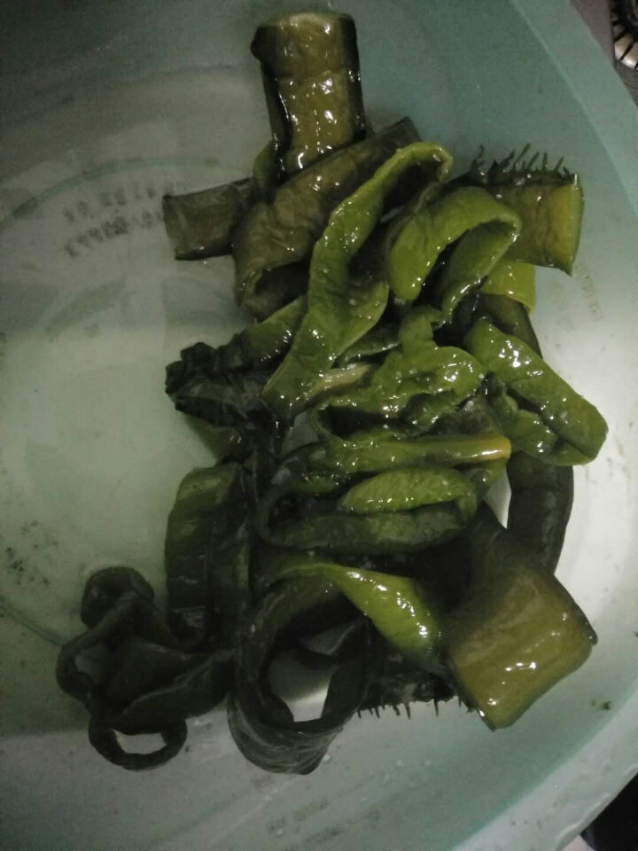 【荣成馆】荣成新鲜盐渍裙带梗 2.5kg 箱装 裙带菜海白菜 凉拌 海产怎么样，好用吗，口碑，心得，评价，试用报告,第4张