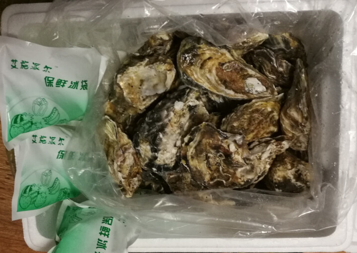 海洋岛 大连一级海域生蚝鲜活牡蛎 四种分级规格 净含量2.5kg海鲜生鲜活生蚝 L(70g含,第4张