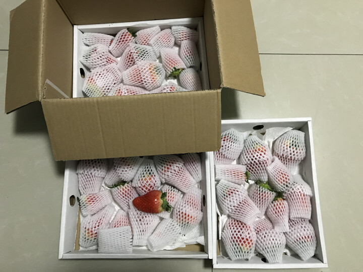 森珍绿业 新鲜草莓 甜宝草莓 新鲜采摘 礼盒装1500g 单果33克左右怎么样，好用吗，口碑，心得，评价，试用报告,第2张