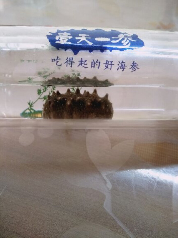 壹天一参  东营速发淡干海参免煮 海鲜水产 一只体验装 赠泡发杯一个怎么样，好用吗，口碑，心得，评价，试用报告,第4张