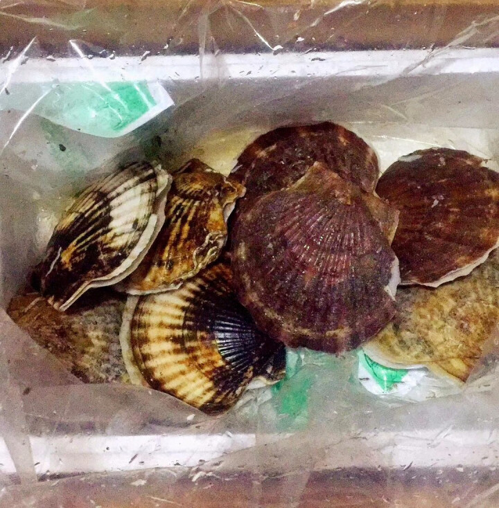 海洋岛海鲜生鲜火锅食材海鲜水产扇贝粉丝扇贝肉蒜蓉粉丝扇贝扇贝6头/斤900g怎么样，好用吗，口碑，心得，评价，试用报告,第3张