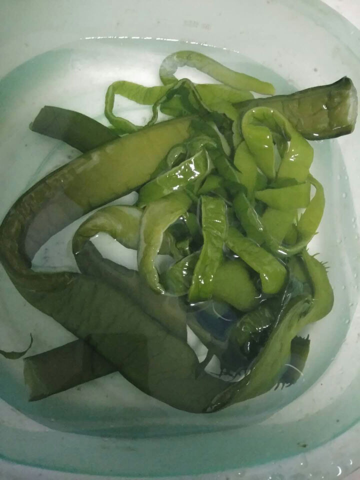 【荣成馆】荣成新鲜盐渍裙带梗 2.5kg 箱装 裙带菜海白菜 凉拌 海产怎么样，好用吗，口碑，心得，评价，试用报告,第5张