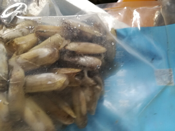 【活鲜】味库 巴基斯坦白竹蛏大竹蛏蛏子 500g 罐装 海鲜水产怎么样，好用吗，口碑，心得，评价，试用报告,第5张