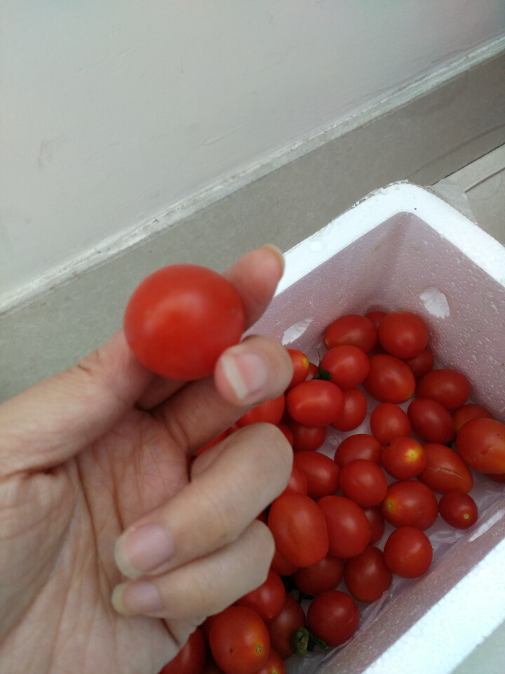 下单送2斤 恒润优品 福建圣女果 1.5kg 新鲜水果小西红柿小番茄怎么样，好用吗，口碑，心得，评价，试用报告,第3张