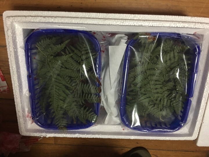 【上虞馆】  新鲜杨梅二都精品荸荠杨梅浙江上虞农家孕妇现摘现发2kg装特甜怎么样，好用吗，口碑，心得，评价，试用报告,第5张