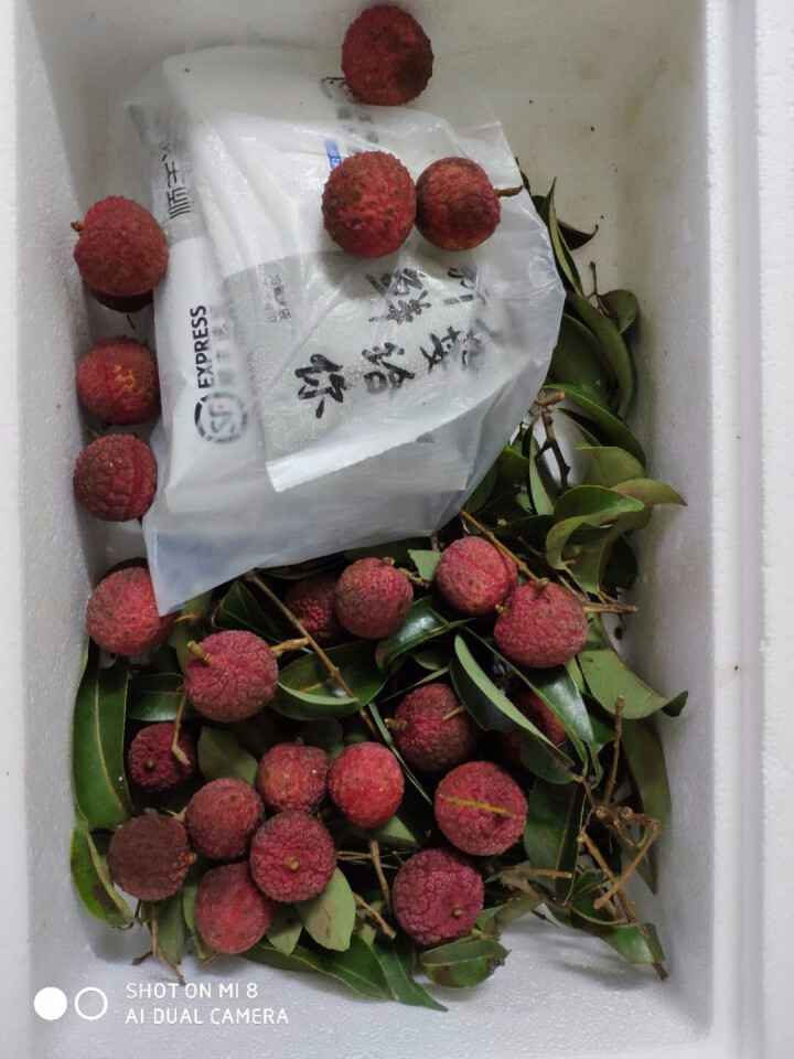 华朴上品 深圳南山黑叶荔枝 2.5kg  现摘现发 顺丰空运怎么样，好用吗，口碑，心得，评价，试用报告,第2张