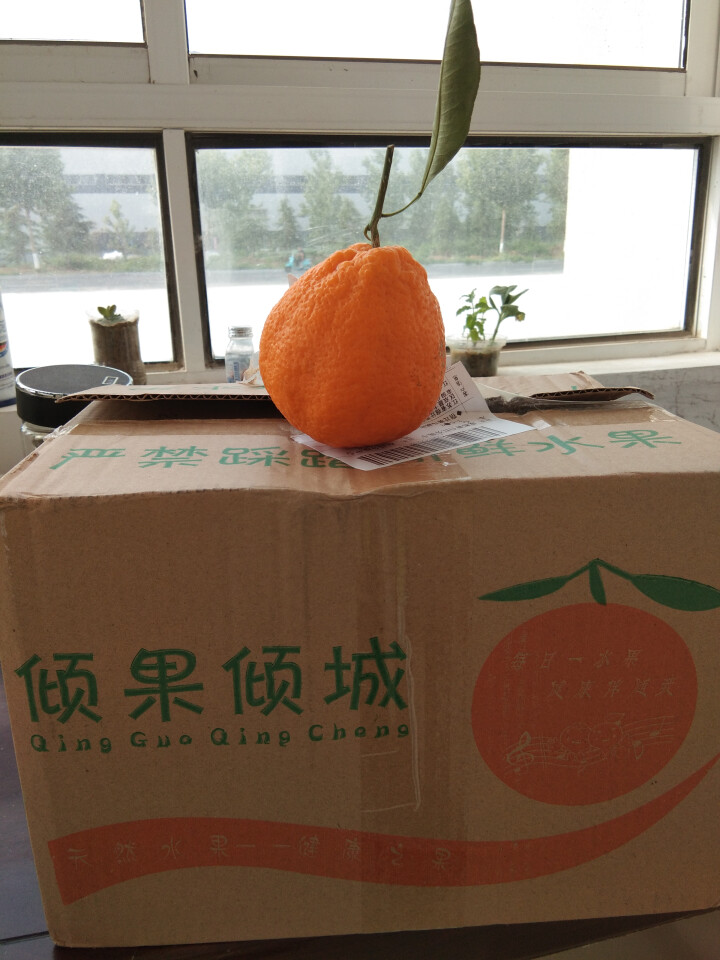 鲜菓篮 四川丑橘 不知火 丑柑新鲜水果 2.5kg 装怎么样，好用吗，口碑，心得，评价，试用报告,第3张