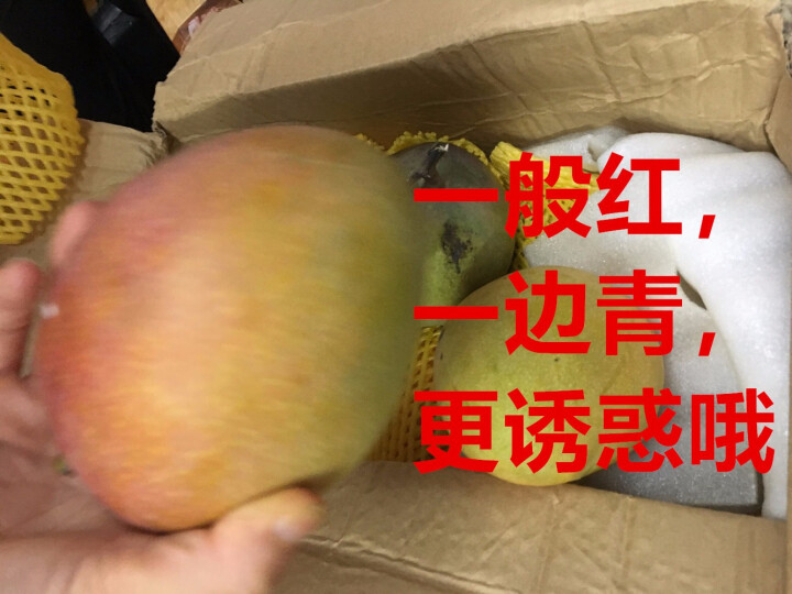 【雅安馆】攀枝花 苹果芒果 2000g 一级 四川特产 新鲜水果 现摘现发怎么样，好用吗，口碑，心得，评价，试用报告,第3张