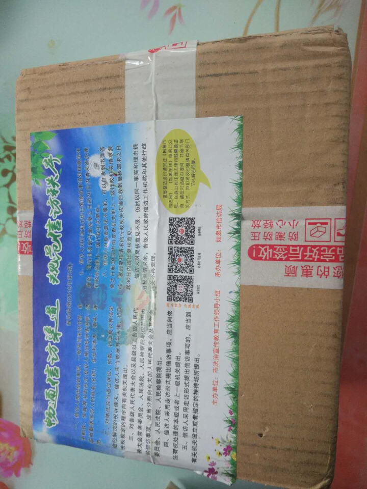 鲜菓篮 大青芒广西金煌芒青皮芒果 2kg 精品装 单果200,第2张