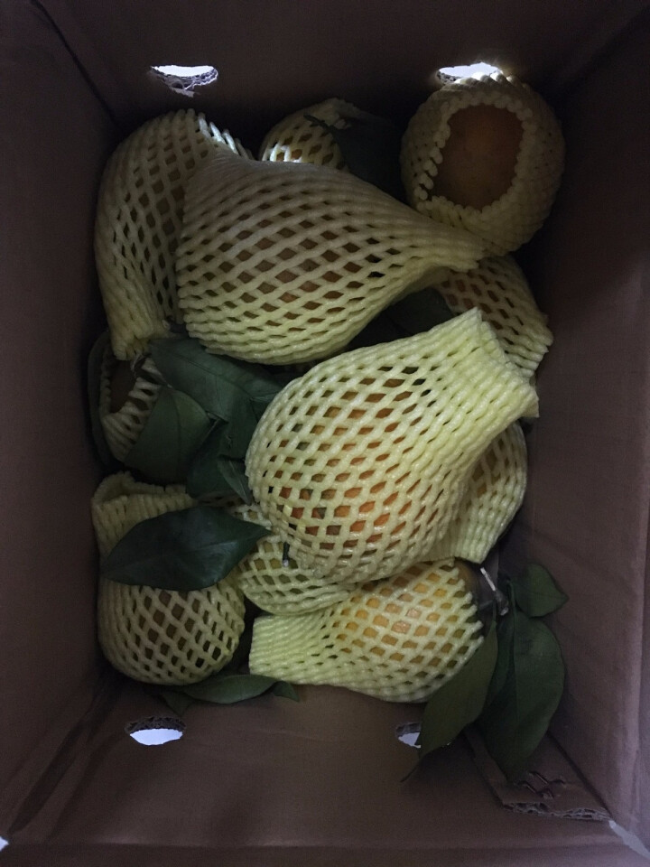 鲜菓篮 新鲜橙子广西夏橙 应季水果 2.5kg 装怎么样，好用吗，口碑，心得，评价，试用报告,第3张