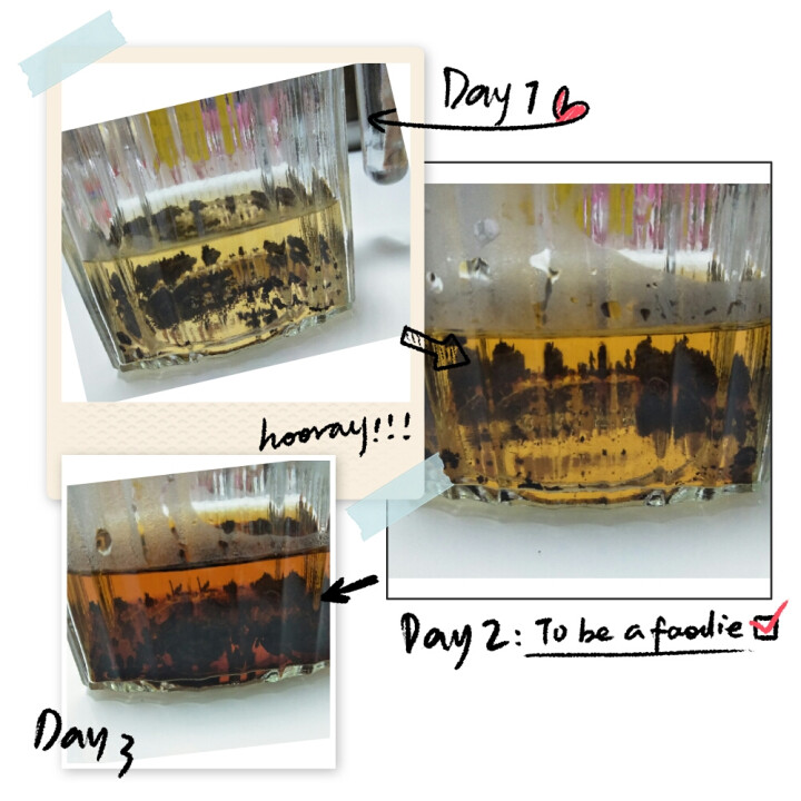 夕茗茶叶 2010年勐海布朗山醇香古树熟茶饼 云南普洱茶357g七子饼茶 滋味醇厚饱满甘甜润滑 包邮怎么样，好用吗，口碑，心得，评价，试用报告,第8张