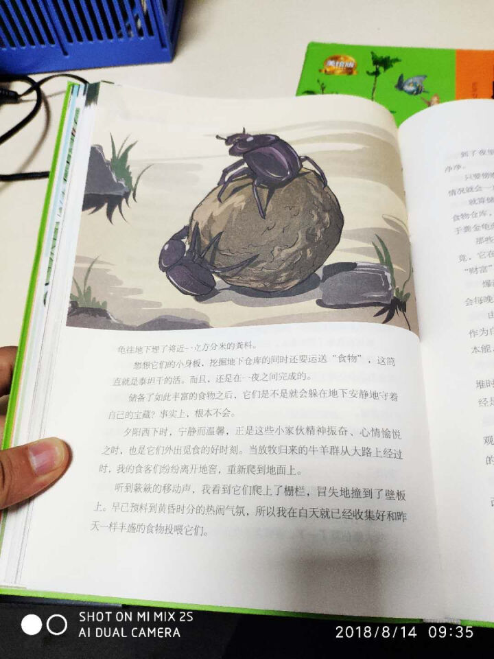 昆虫记2册套装（软精装版）昆虫记 最美法布尔原著美绘版世界文学教育部推荐新课标读物课外阅读畅销书怎么样，好用吗，口碑，心得，评价，试用报告,第3张