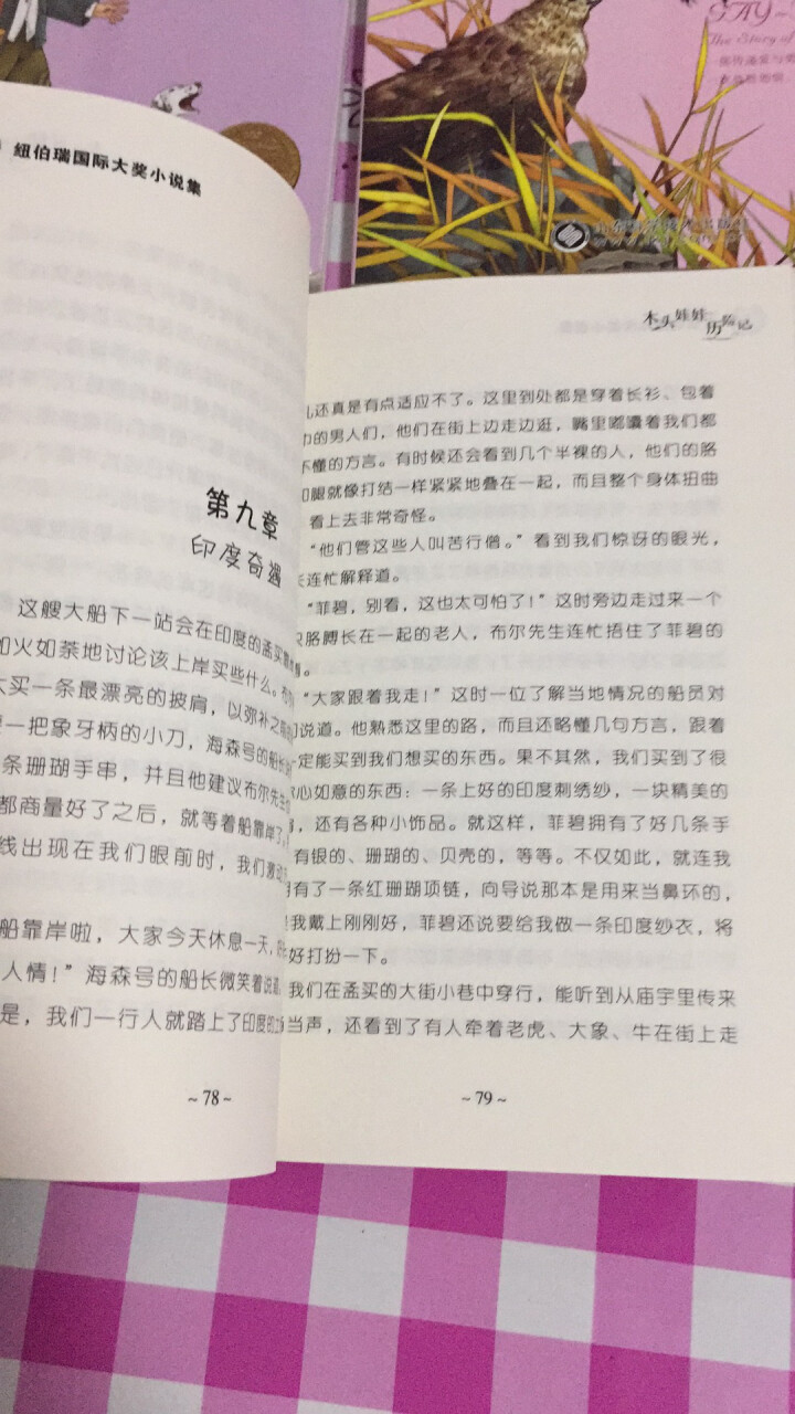 纽伯瑞儿童文学国际大奖小说全8册彩虹鸽 兔子坡 胡桃木小姐暑假读一本好书小学生课外阅读书籍7,第4张