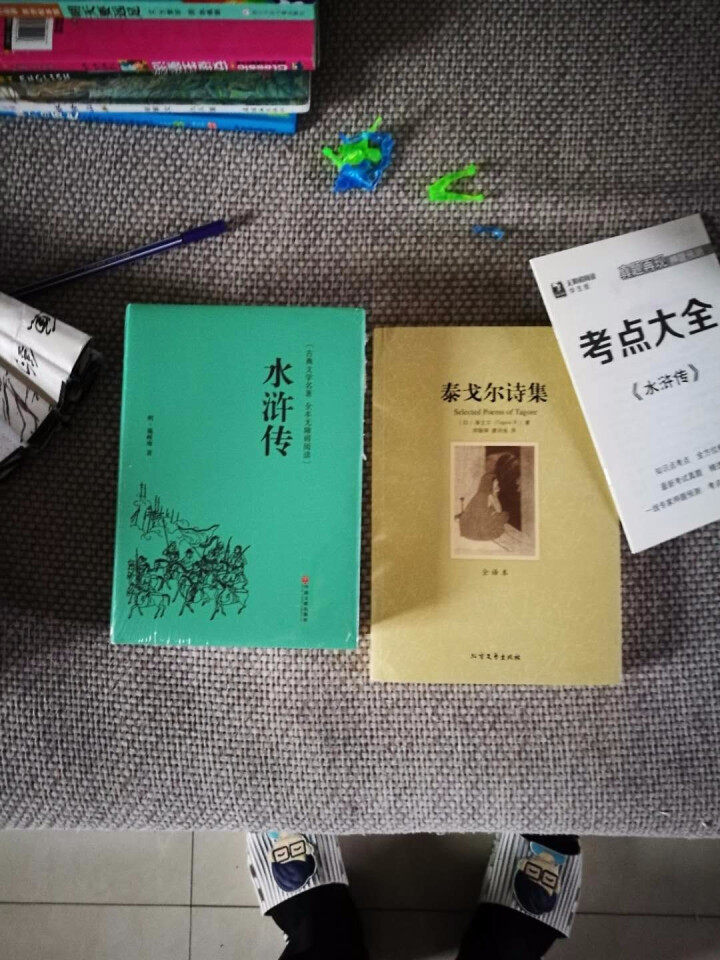 水浒传 泰戈尔诗集原著正版初中生语文新课标必读课外书学生版飞鸟集散文诗集全集适合中学生必看的文学名著怎么样，好用吗，口碑，心得，评价，试用报告,第3张