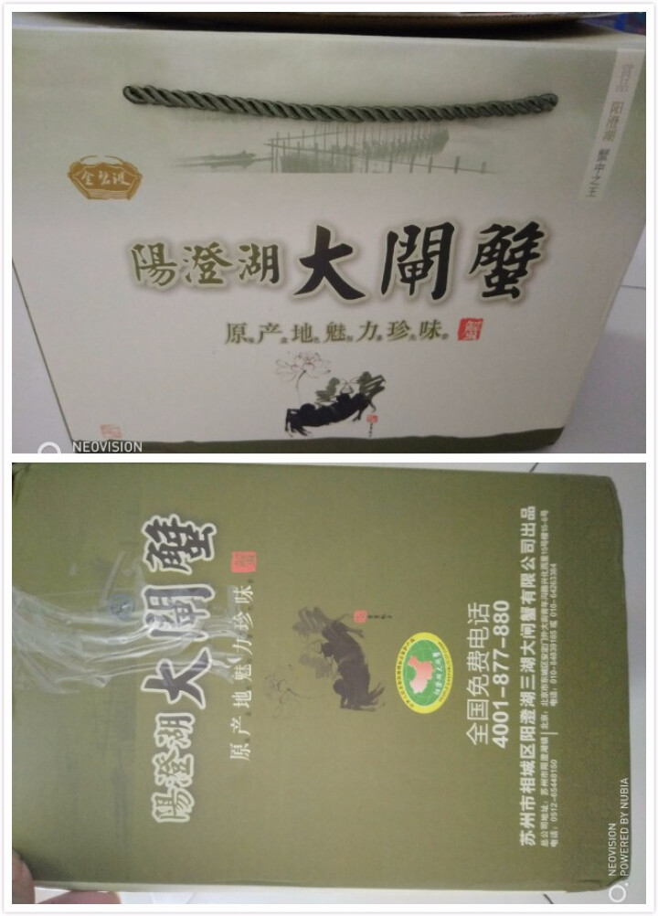 【现货】金碧波 阳澄湖大闸蟹 六月黄2.0两 8只礼盒装现货实物螃蟹 自营海鲜水产怎么样，好用吗，口碑，心得，评价，试用报告,第3张