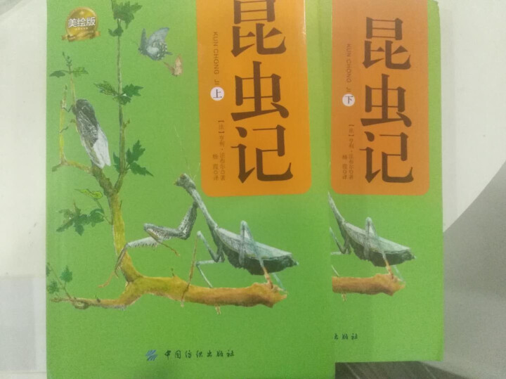 昆虫记2册套装（软精装版）昆虫记 最美法布尔原著美绘版世界文学教育部推荐新课标读物课外阅读畅销书怎么样，好用吗，口碑，心得，评价，试用报告,第2张