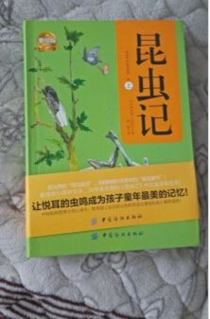 昆虫记2册套装（软精装版）昆虫记 最美法布尔原著美绘版世界文学教育部推荐新课标读物课外阅读畅销书怎么样，好用吗，口碑，心得，评价，试用报告,第3张