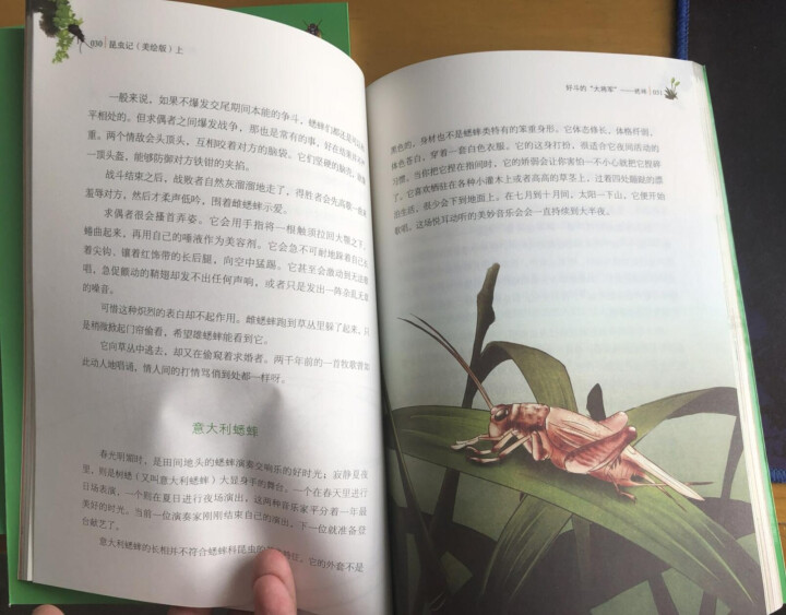 昆虫记（上中下3册）【法】法布尔.昆虫记美绘版世界文学教育部推荐八年级上新课标读物课外阅读畅销书 昆虫记3本怎么样，好用吗，口碑，心得，评价，试用报告,第4张