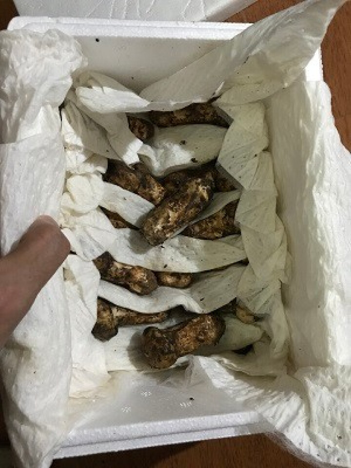 [现货]香格里拉野生新鲜松茸 食用野生菌3,第4张