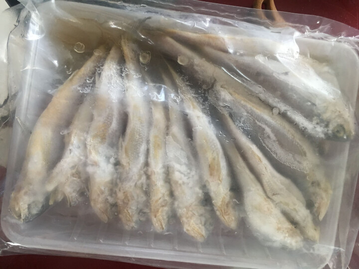 渔港 渤海野生小黄鱼600g 约12,第3张