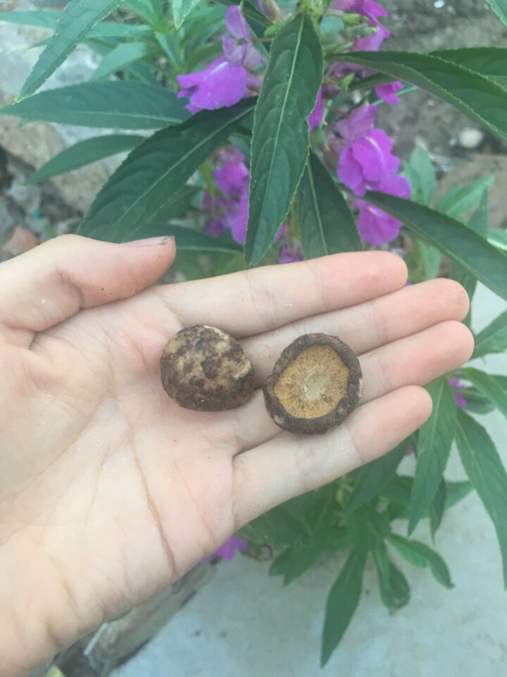 阿菇格格 香菇脆蔬菜干蔬菜脆香菇脆片即食蘑菇干孕妇零食儿童零食办公室休闲零食原味 黑胡椒味一盒怎么样，好用吗，口碑，心得，评价，试用报告,第4张