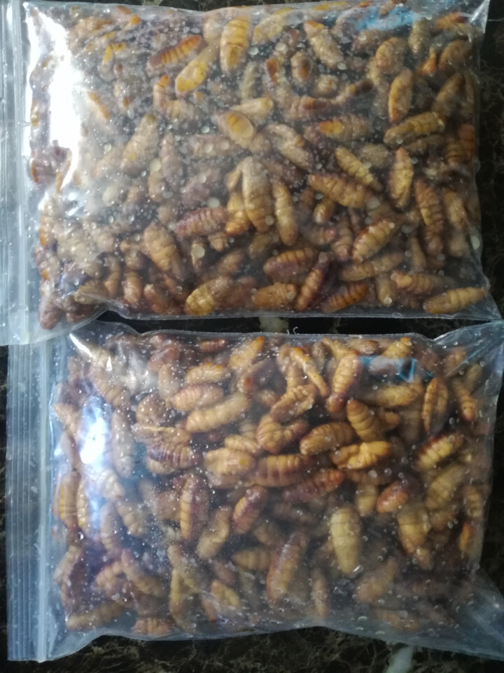 海味先生 新鲜小蚕蛹 1000g 袋装怎么样，好用吗，口碑，心得，评价，试用报告,第3张