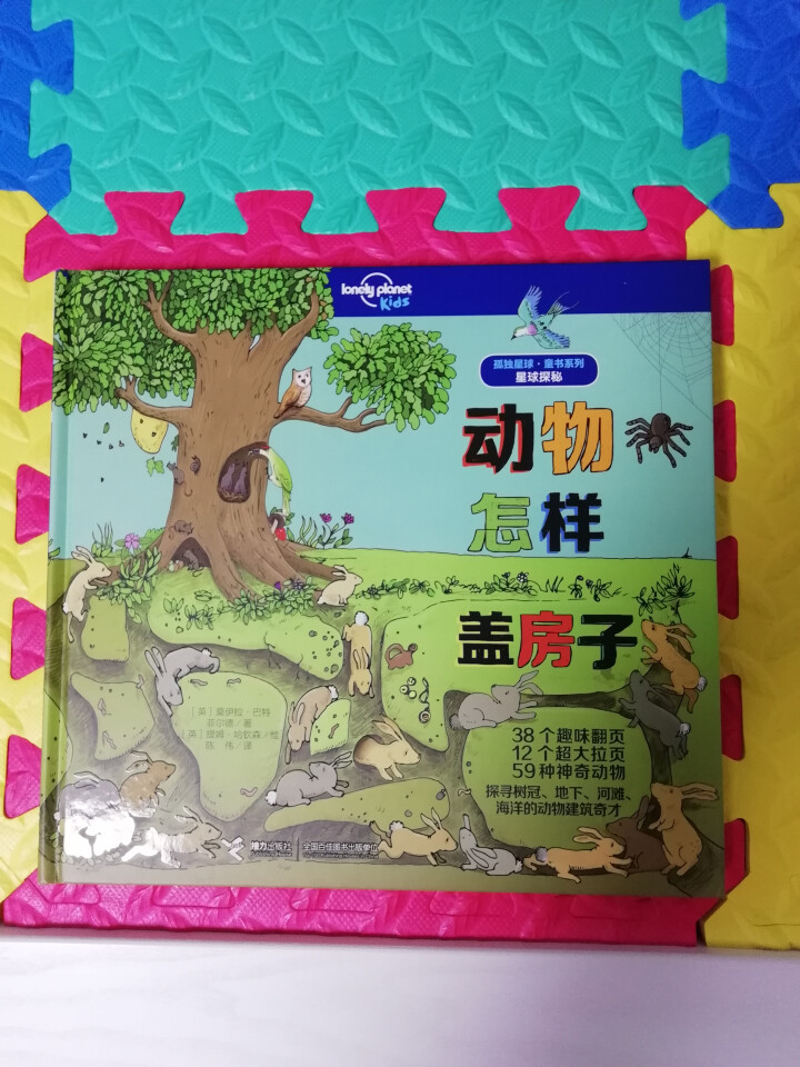 星球探秘:动物怎样盖房子（孤独星球童书Lonely Planet Kids）怎么样，好用吗，口碑，心得，评价，试用报告,第2张