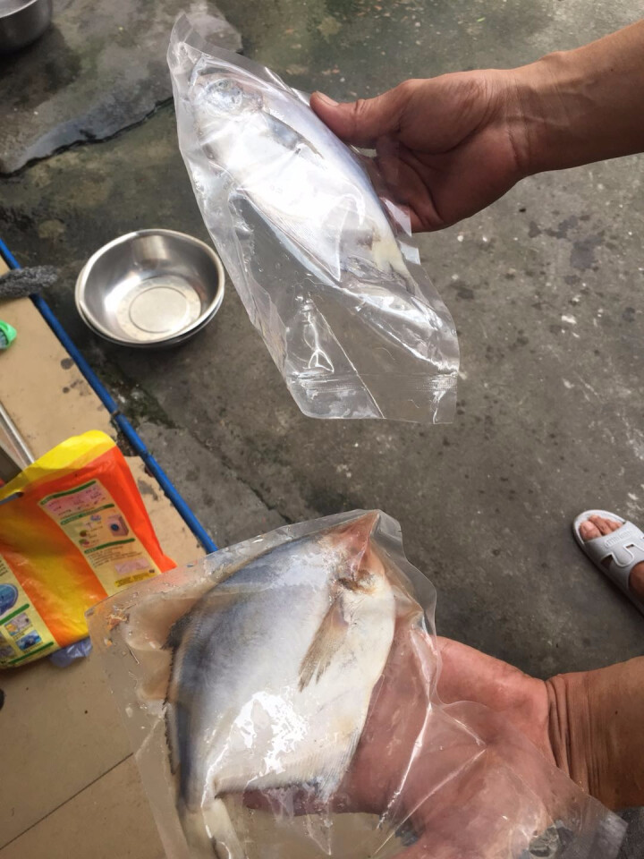 渔港 渤海白鲳鱼300g（内含2条 单条包装） 袋装 冷冻 银鲳平鱼怎么样，好用吗，口碑，心得，评价，试用报告,第4张