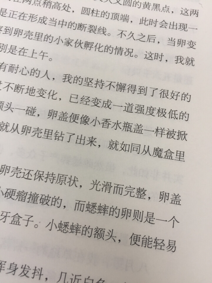 昆虫记2册套装（软精装版）昆虫记 最美法布尔原著美绘版世界文学教育部推荐新课标读物课外阅读畅销书怎么样，好用吗，口碑，心得，评价，试用报告,第4张