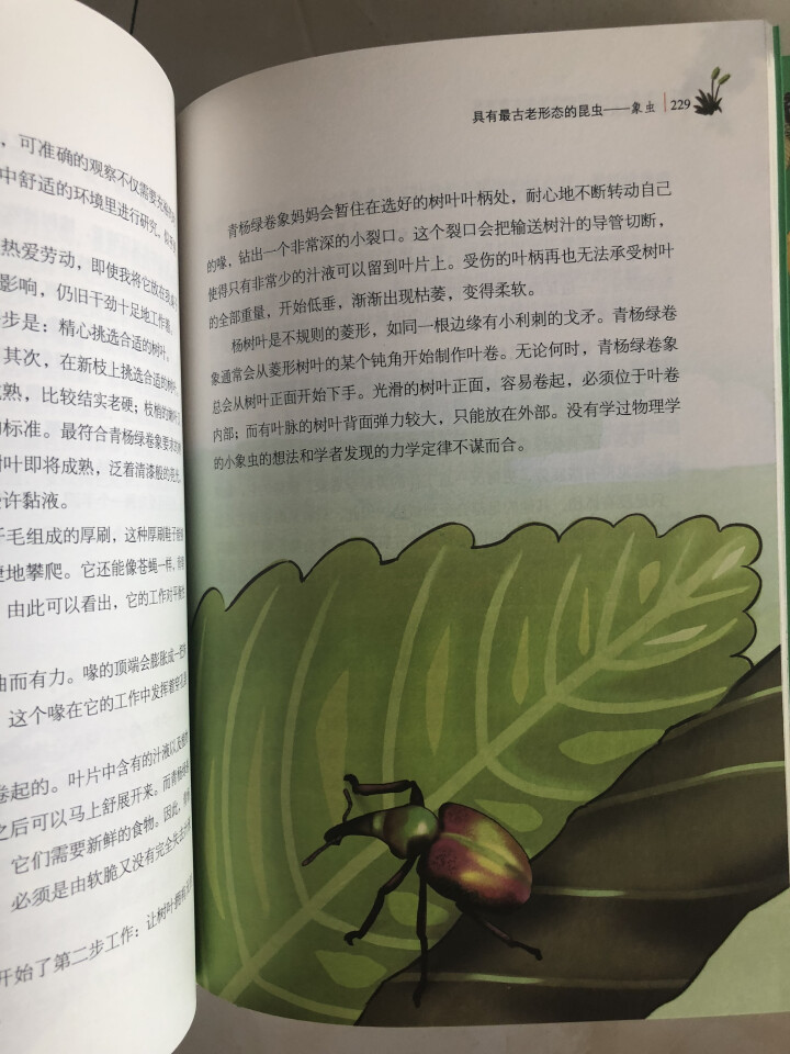 昆虫记（上中下3册）【法】法布尔.昆虫记美绘版世界文学教育部推荐八年级上新课标读物课外阅读畅销书 昆虫记3本怎么样，好用吗，口碑，心得，评价，试用报告,第4张