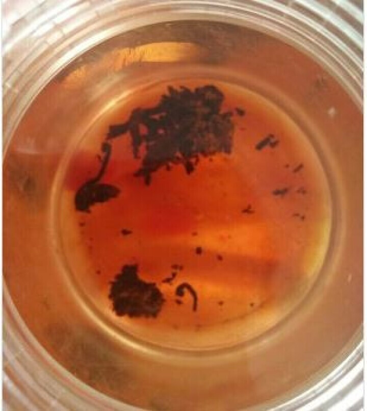 20g样茶试用  恬和 2009年香沱茶勐海老树熟沱熟茶怎么样，好用吗，口碑，心得，评价，试用报告,第3张